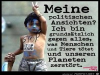 meine politischen Ansichten