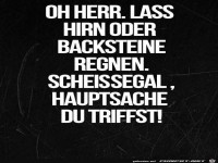 lass Hirn oder Backsteine regnen