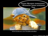 Guten Morgen zusammen