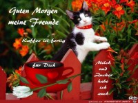 Guten Morgen