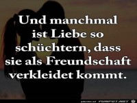 und manchmal ist Liebe so sch�chtern.....