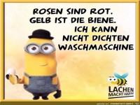 Rosen sind rot
