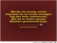 Werde nie zornig, sonst
knntest du an einem einzigen
Tag...