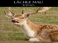 L�chle mal