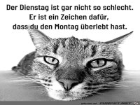 Der Dienstag ist okay