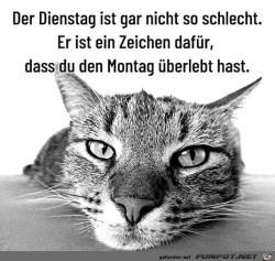 Der-Dienstag-ist-okay.jpg auf www.funpot.net