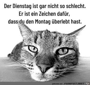 Begr&uuml;&szlig;ungsbild