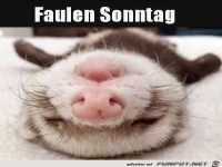 Faulen Sonntag