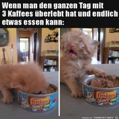 Endlich-Futter.jpg von Harald48