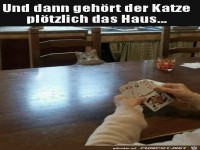 Der Katze geh�rt nun das Haus