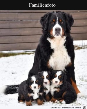 Familienfoto.jpg auf www.funpot.net