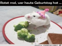 Wer hat wohl Geburtstag?