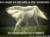 Dann muss es ja stimmen
