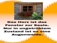 das herz ist das fenster