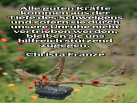 Sei ruhig, Natur hilft beim Schweigen!