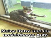 Taxifahrer ohne Auto