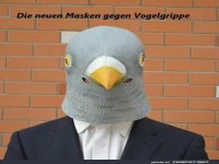 Vogelschutz: Die neueste Mode f�r Sicherheit