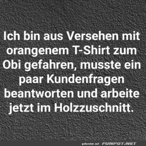 Falsches-T-Shirt,-neuer-Job!.jpg von Tarik1967