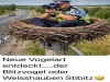 weiter