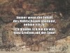 weiter
