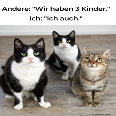 Stolze-Katzeneltern.jpg von Queen92