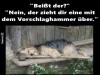 weiter