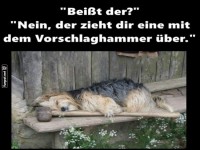 Bei�t der?