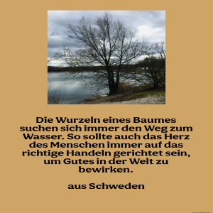 die-wurzeln-eines-baumes.png von Fabioma
