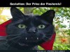 weiter