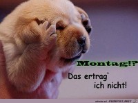 montag 3