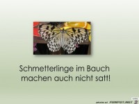 Schmetterlinge im Bauch