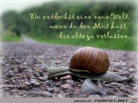 Du entdeckst eine neue Welt167