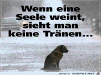 Wenn eine Seele..