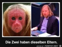 solche �hnlichkeit.....