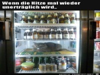 unertr�gliche Hitze