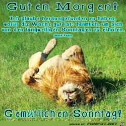 Sonntag.jpg auf www.funpot.net