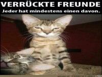 Verr�ckter Freund
