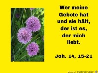 Joh. 14 15-21