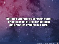 Die Brennnesseln