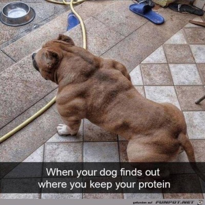 Muskel-Paket.jpg von Emilia