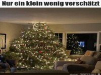 Ziemlich gro�er Weihnachtsbaum