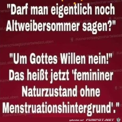 Altweibersommer.jpg von Keule56