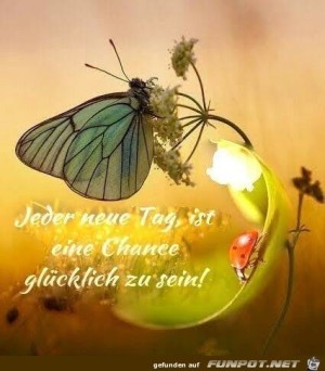 Jeder-neue-Tag.jpg auf www.funpot.net