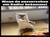 weiter