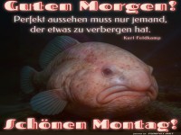 Montagsfisch: Der perfekte Start in die Woche!