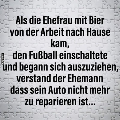 Er-weiß-Bescheid.jpg von Goldlocke