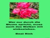 weiter