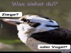 weiter