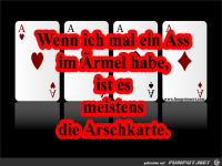 mein leben in einem satz wenn ich mal ein ass im rmel habe i