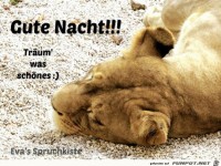 gute Nacht6